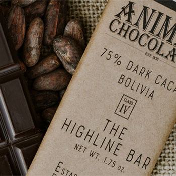 Picture of Chocolate Tastings