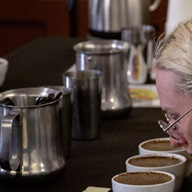 Picture of Coffee Tastings
