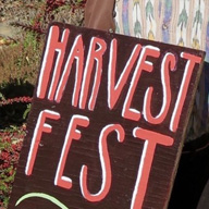 Picture of Harvest Fest