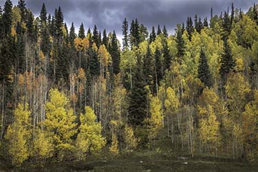 Picture of Durango Photography Club Meeting Program- Putting on a Gallery Show & An Introduction to Giclee