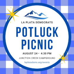 Picture of 2025 Annual Dems Picnic