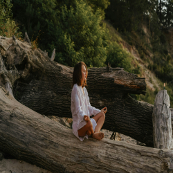 Picture of Four Keys of Living Mindfully (Online Course)