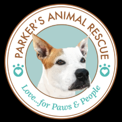 Picture of Cocktails & Canines: PAR 10-Year Anniversary Gala