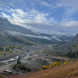 Picture of Willow Planting in Silverton