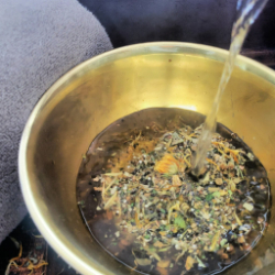 Picture of Soil to Skin: Crafting Custom Facials with Fall Botanicals