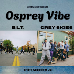 Picture of Osprey Vibe