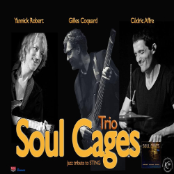 Picture of Soul Cages Trio w/ Nu Bass Theory: Second Weekend Series