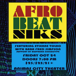 Picture of Afrobeatniks & BluPhunk