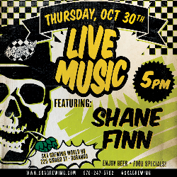 Picture of Live Music with Shane Finn
