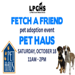 Picture of Fetch a Friend Dog Adoption Event