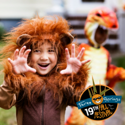 Picture of 19th Annual Three Springs Fall Festival