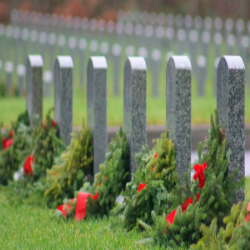 Picture of Volunteers are needed to mark Veteran Graves - Nov 8th