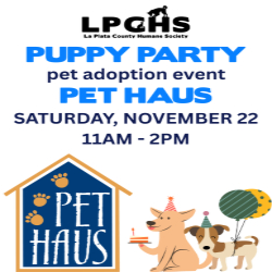 Picture of Puppy Party Adoption Event