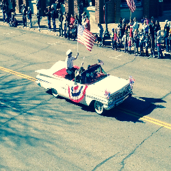 Picture of Veteran's Day Parade