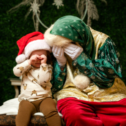 Picture of Portraits with Santa Ken