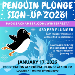 Picture of Penguin Plunge at Winterfest 2026