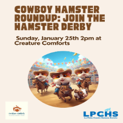 Picture of Third Annual Hamster Derby