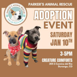 Picture of PAR Adoption Event