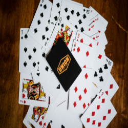 Picture of Euchre Night