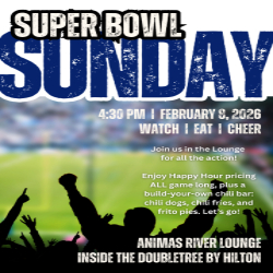 Picture of Super Bowl