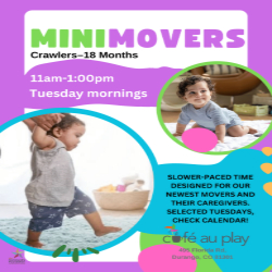 Picture of Mini Movers