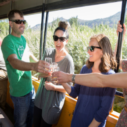 Picture of Shamrocks, Guinness & Celtic Tunes: A St. Patrick’s Day Train Adventure