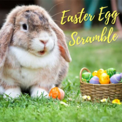 Picture of Easter Egg Scramble