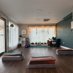 Picture of Prenatal Yoga 6-Week Series