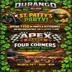 Picture of St. Patty’s Party