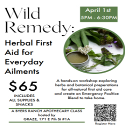 Picture of Wild Remedy: Herbal First Aid for Everyday Ailments with Byers Ranch Apothecary