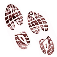 Picture of Sierra Club 'Ducks & Rocks' Nature Walk  