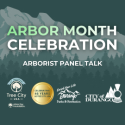 Picture of Expert Arborist & Specialists Panel Talk