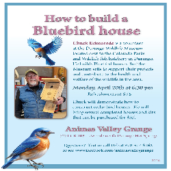 Picture of How to Build a Bluebird House
