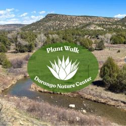 Picture of Edible, Medicinal, & Poisonous Plant Walk