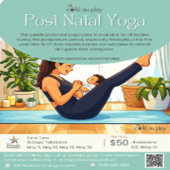 Picture of Postnatal Yoga Series