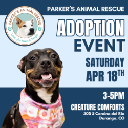Picture of Dog Adoption Event