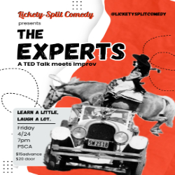 Picture of The Experts - An Improv Show