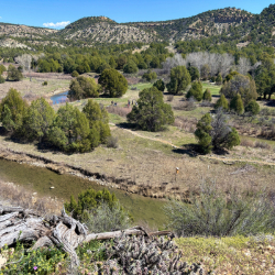 Picture of Durango Nature Center Opening Day