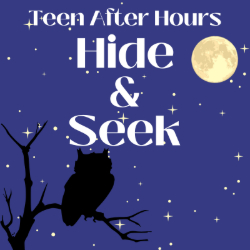 Picture of Teen After Hours Hide & Seek