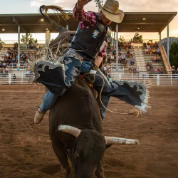 Picture of 2nd Annual Rough Stock Challenge