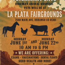 Picture of Rural Community Veterinary Days
