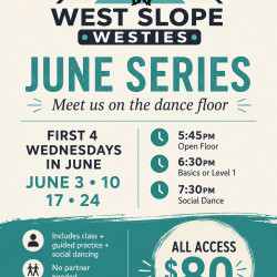 Picture of West Coast Swing Basic Series