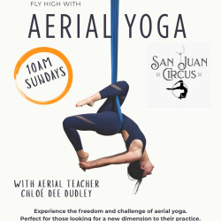Picture of Aerial Yoga at San Juan Circus