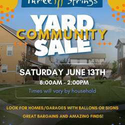 Picture of Community Yard Sale