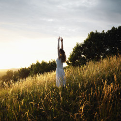 Picture of Wild New Way Women’s Collective Monthly Guest Speaker: Anne Bartlett