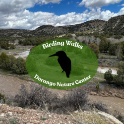 Picture of Fall Birding