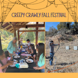 Picture of Creepy Crawly Fall Festival