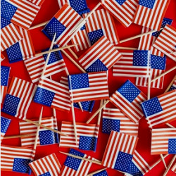 Picture of 4th of July Parade Costume Workshop