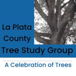 Picture of La Plata County Tree Study Group