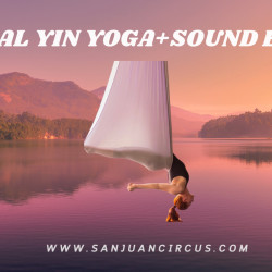 Picture of Restorative Aerial Yoga + Sound Bath